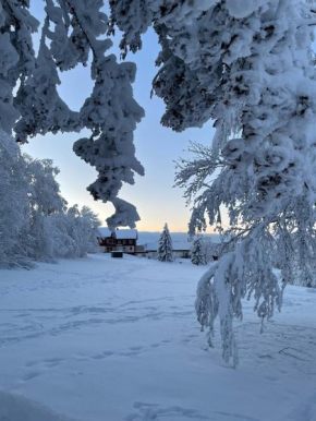 Gemütliche Ferienwohnung Harz Braunlage Hohegeiß